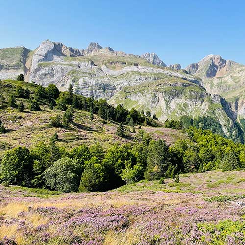 Escape game « Embuscade au Somport », jeu d’évasion nature aux Pyrénées