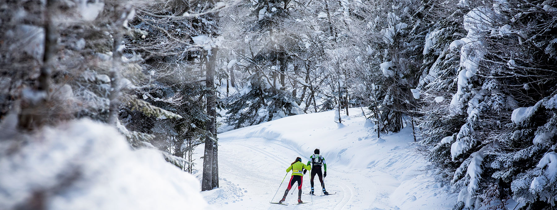 L’Espace Somport offre une diversité de pistes tracées en alternatif et en skating pour des skieurs débutants aux fondeurs confirmés