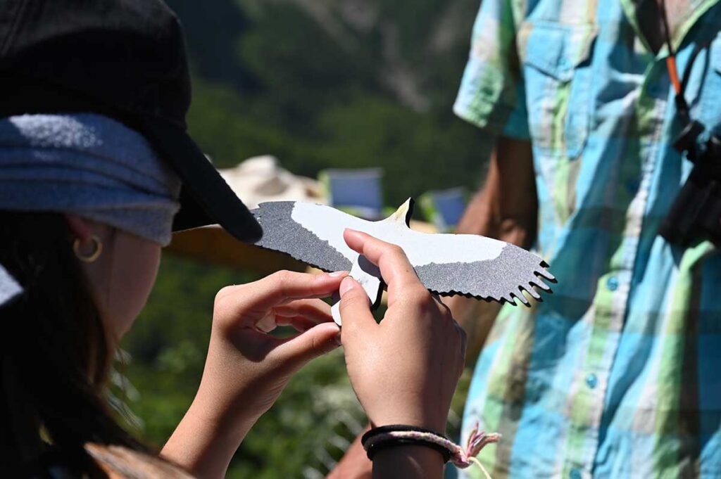 Animations nature - Somport Pyrénées