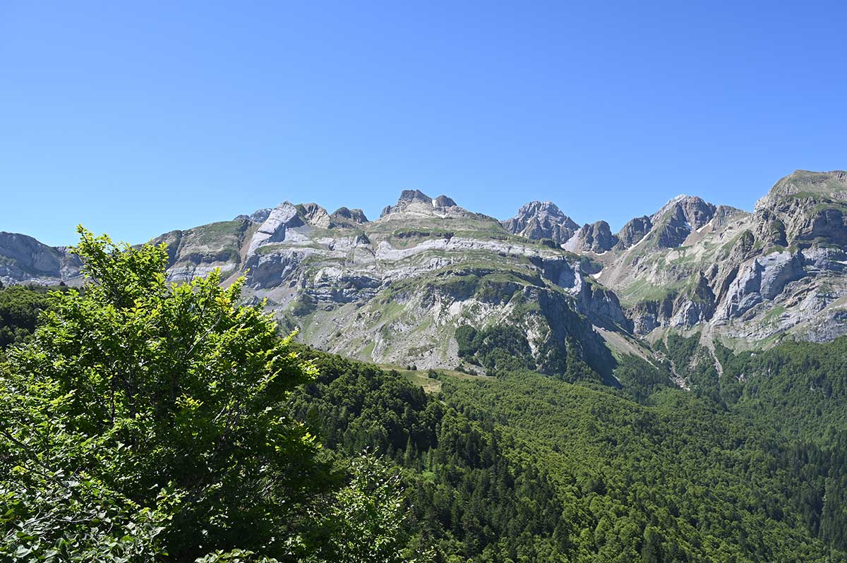 Animations nature - Somport Pyrénées