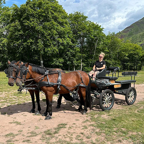 Balades en calèche au Somport Pyrénées